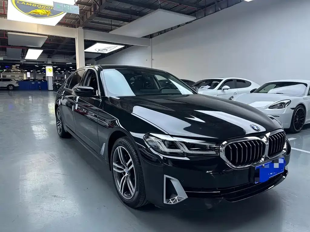 BMW 5 Series 2022 из CN, фото 4
