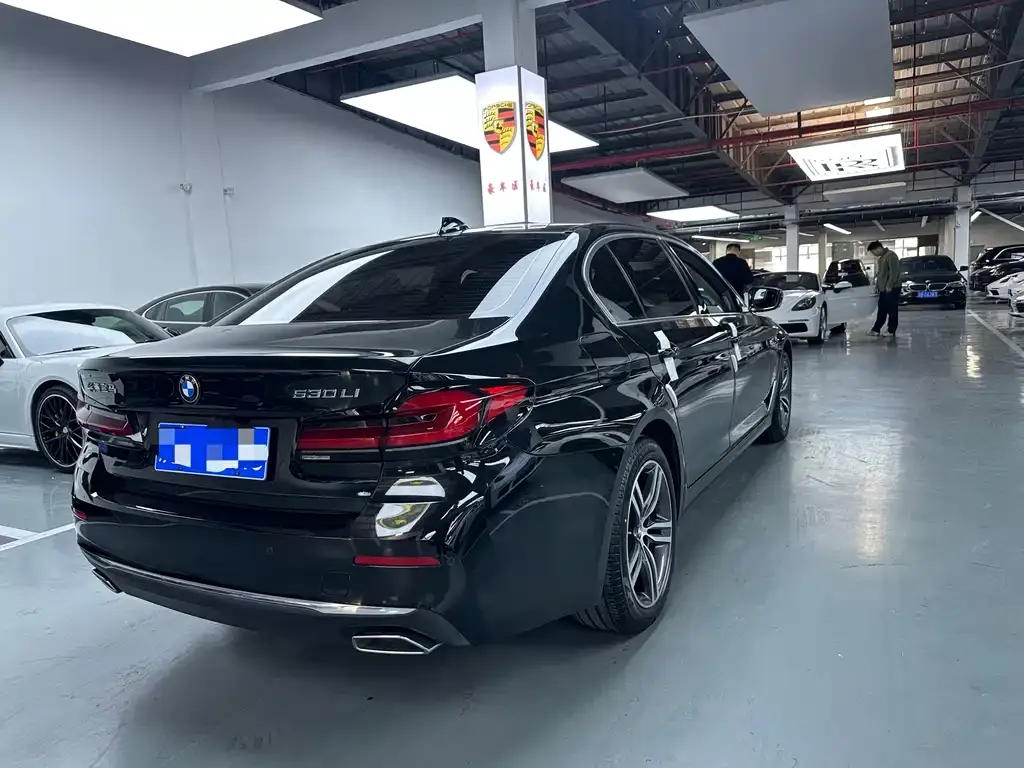 BMW 5 Series 2022 из CN, фото 6