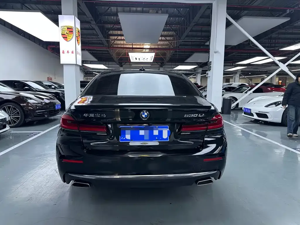 BMW 5 Series 2022 из CN, фото 10