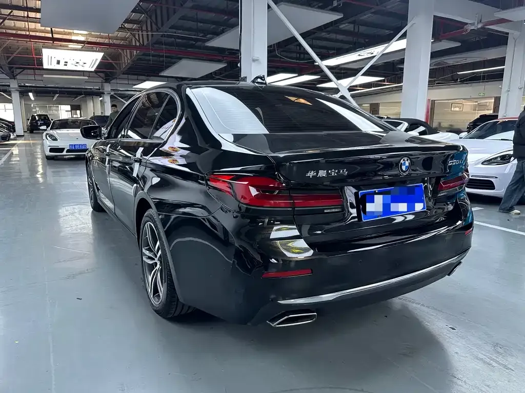 BMW 5 Series 2022 из CN, фото 5
