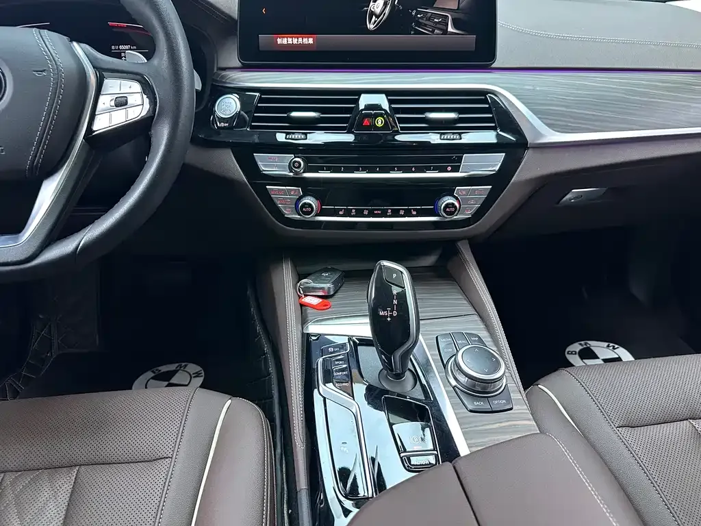 BMW 5 Series 2022 из CN, фото 9