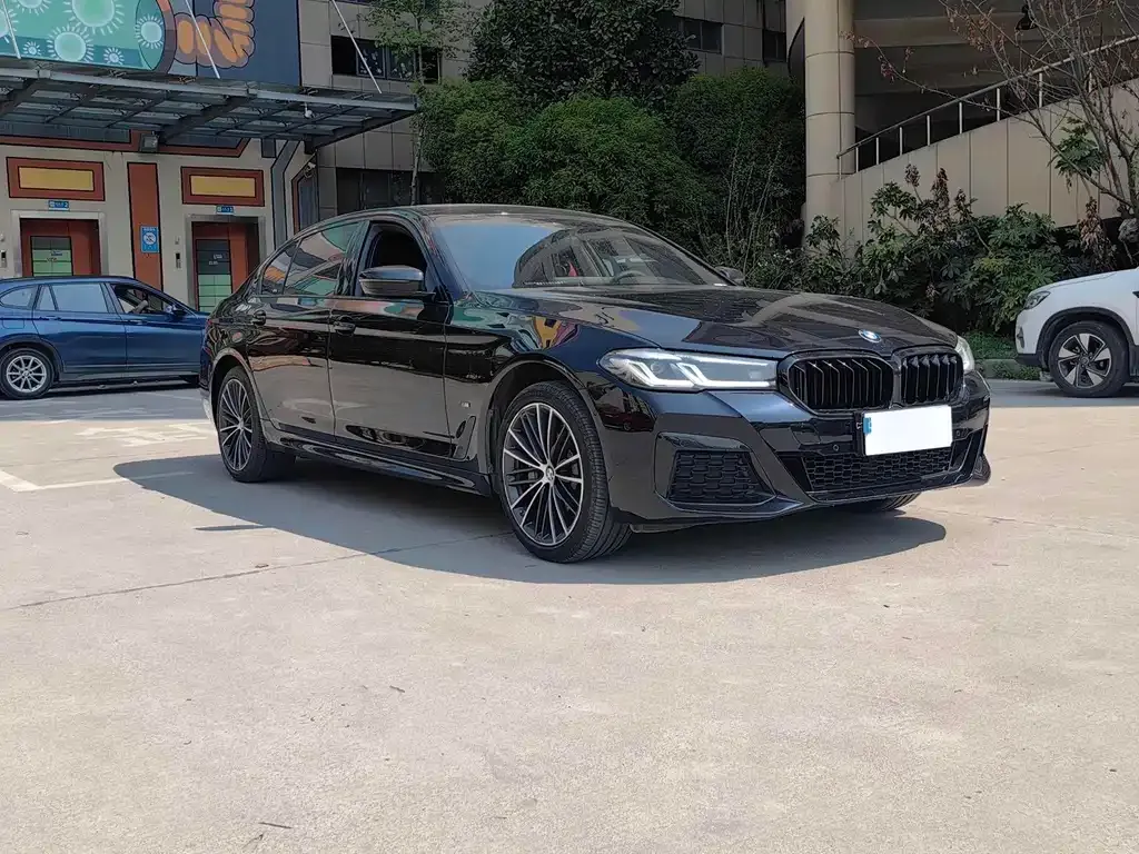 BMW 5 Series 2023 из CN, фото 7