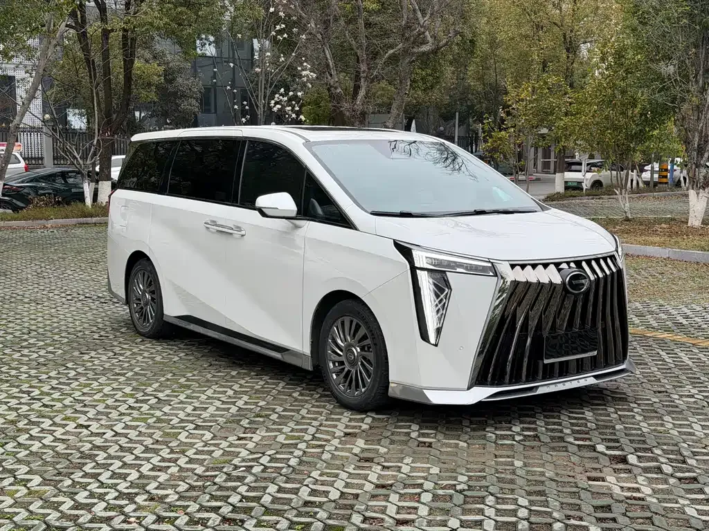 GAC Motor Trumpchi M8 2023 из CN, фото 8