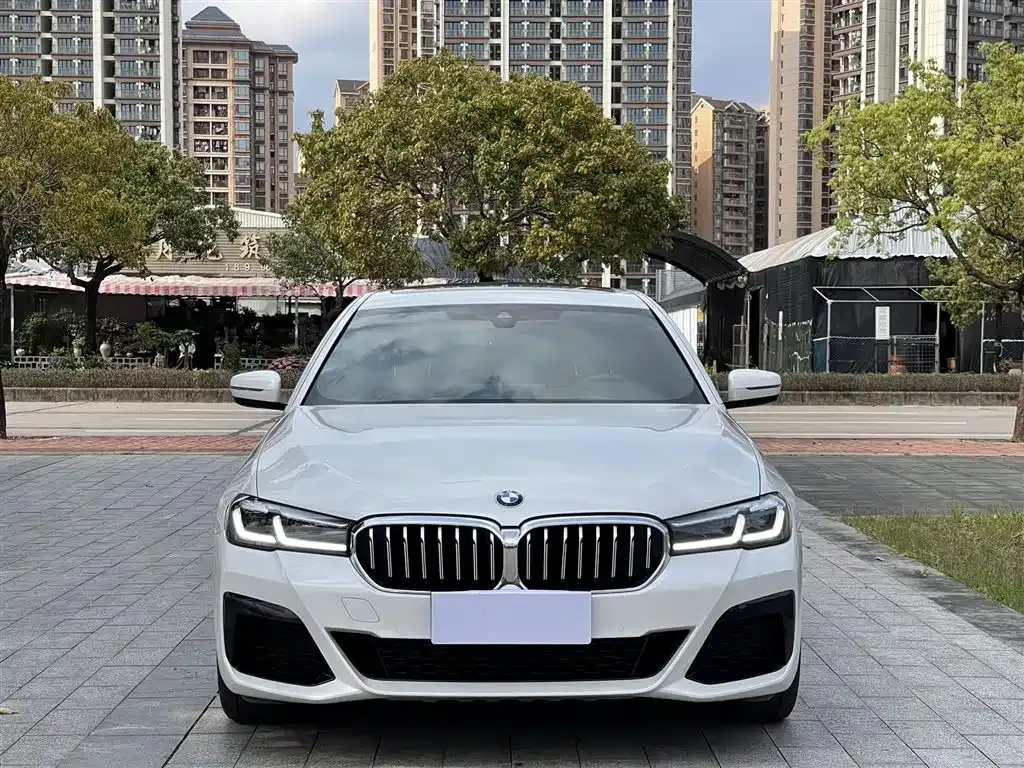 BMW 5 Series — фото 1
