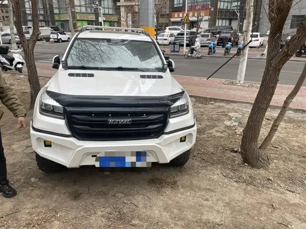 Haval H9 2021 из CN, фото 10