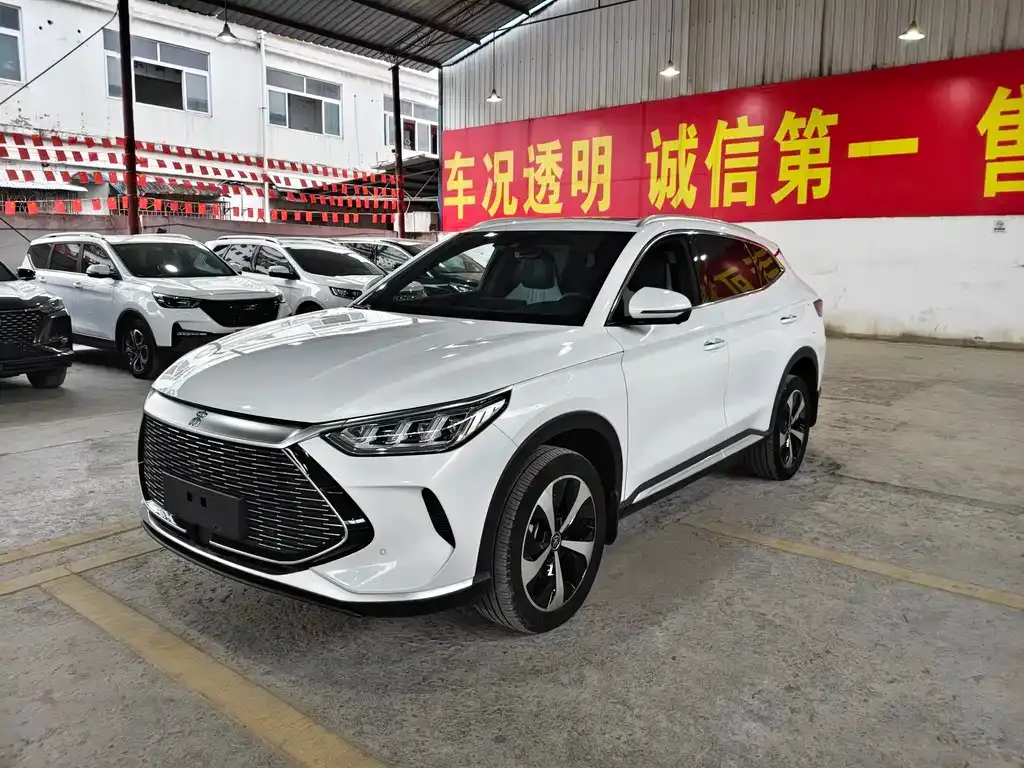 BYD PLUS New Energy — фото 1