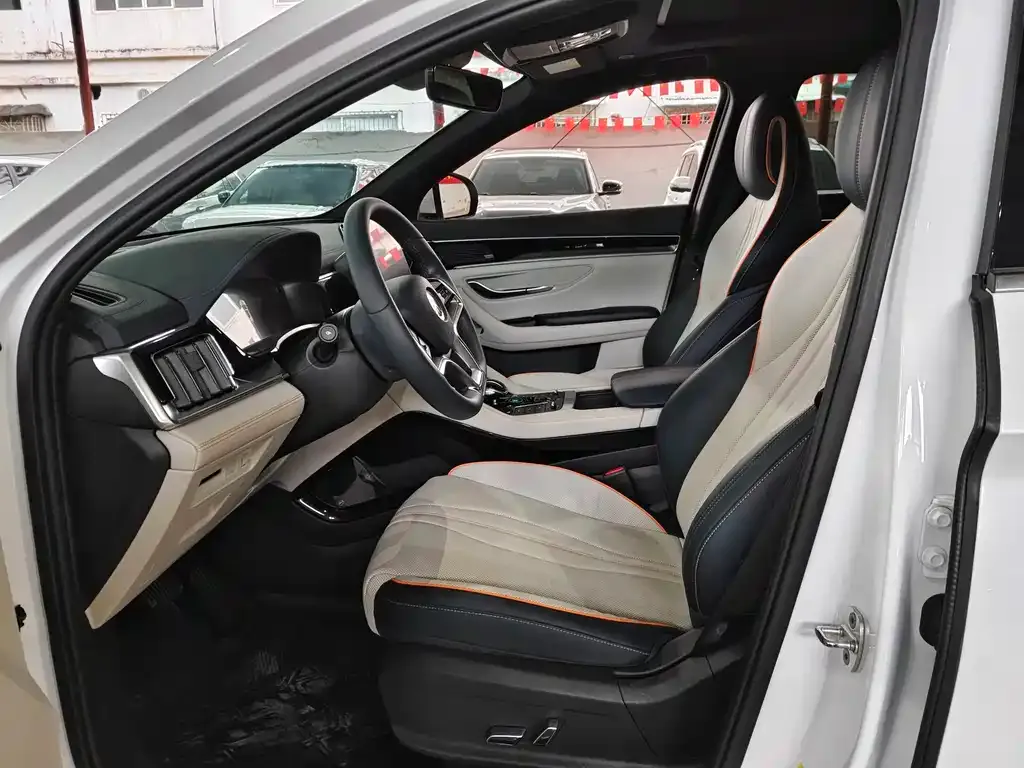 BYD PLUS New Energy — фото 2