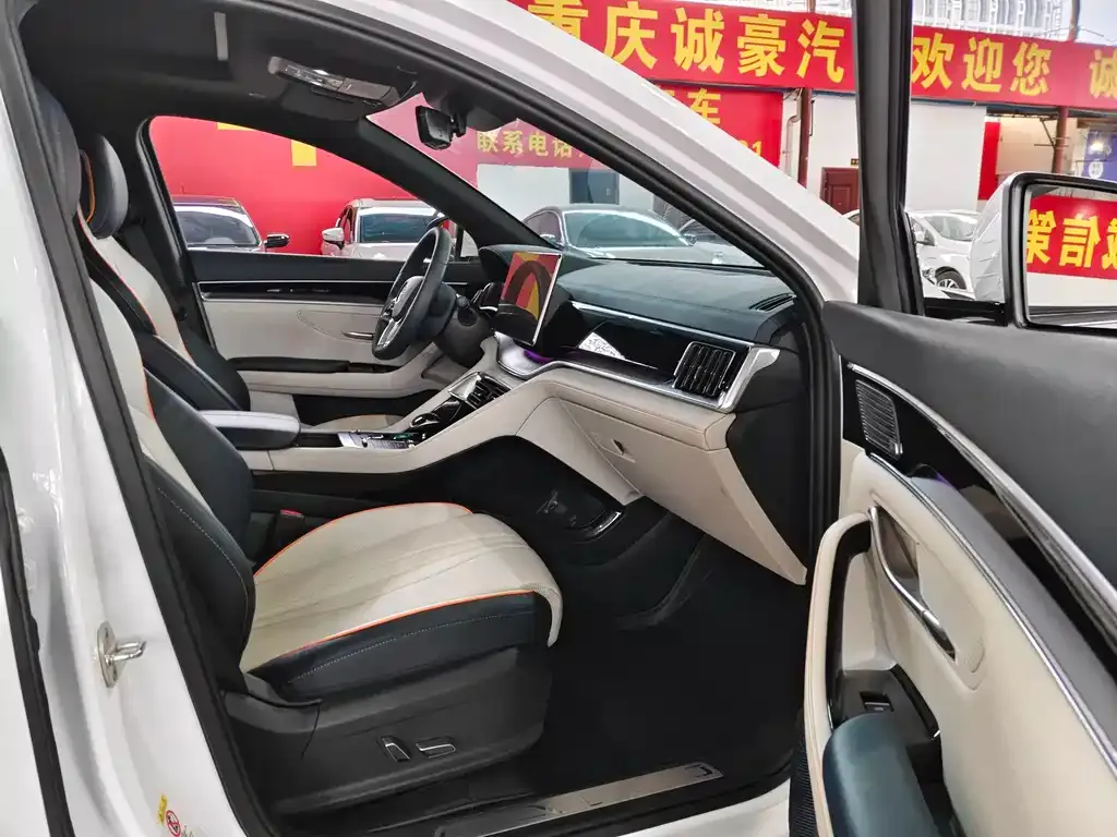 BYD PLUS New Energy — фото 3