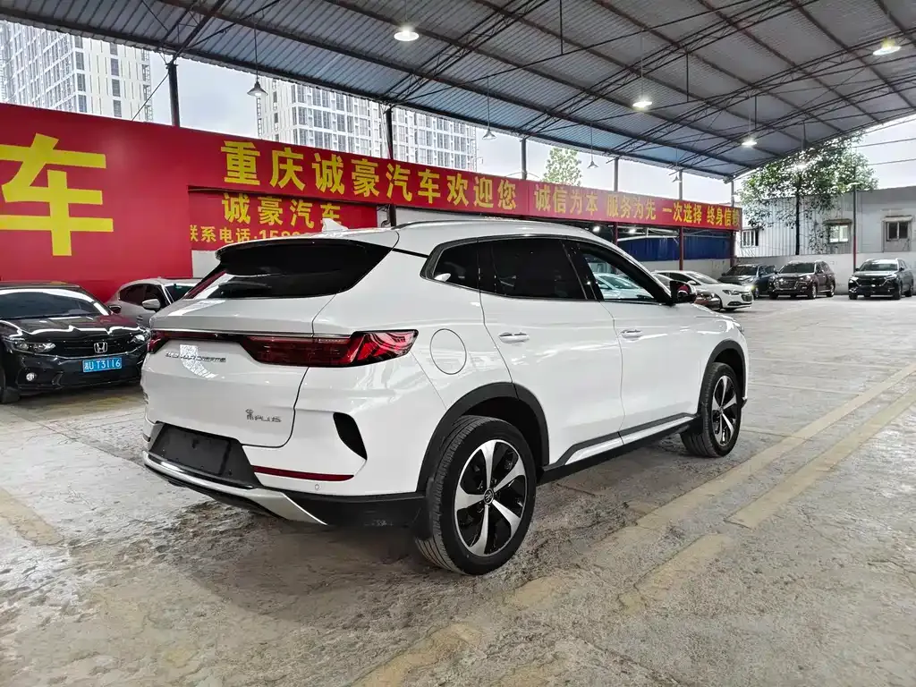 BYD PLUS New Energy — фото 8