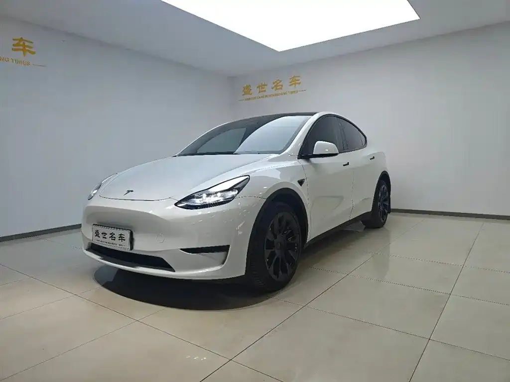 Tesla Model Y — фото 1
