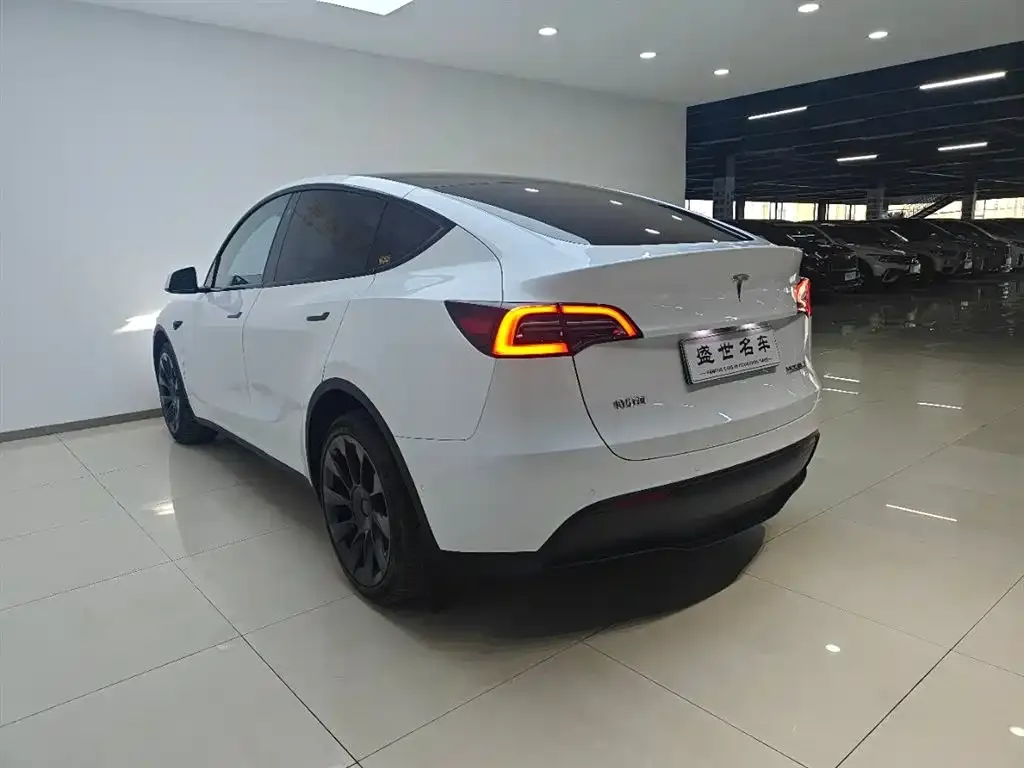 Tesla Model Y — фото 7