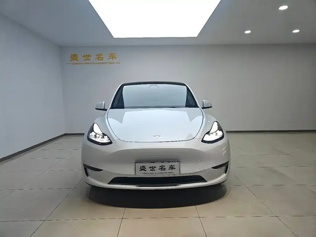 Tesla Model Y — фото 2