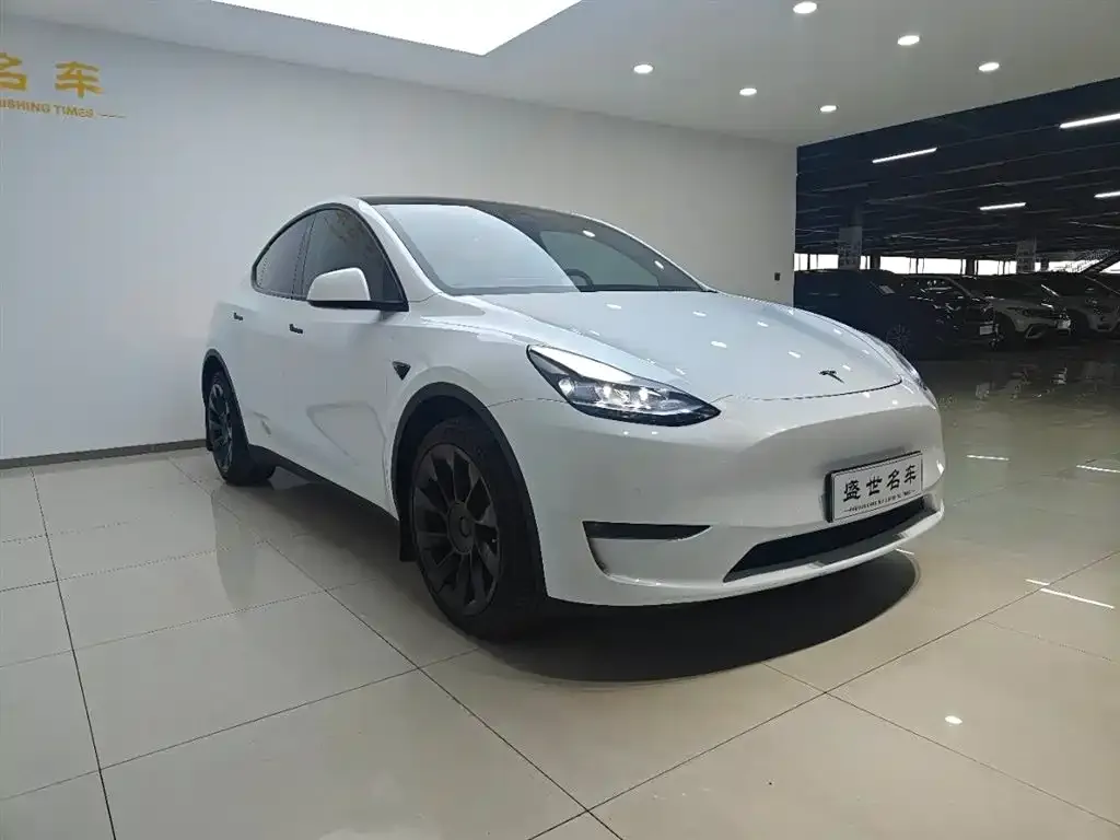Tesla Model Y — фото 3