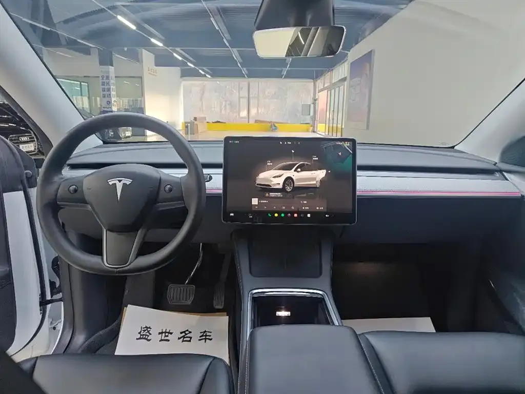 Tesla Model Y — фото 10
