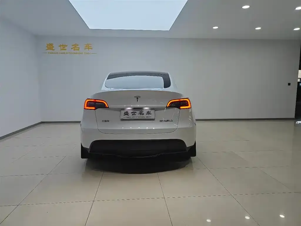 Tesla Model Y — фото 6