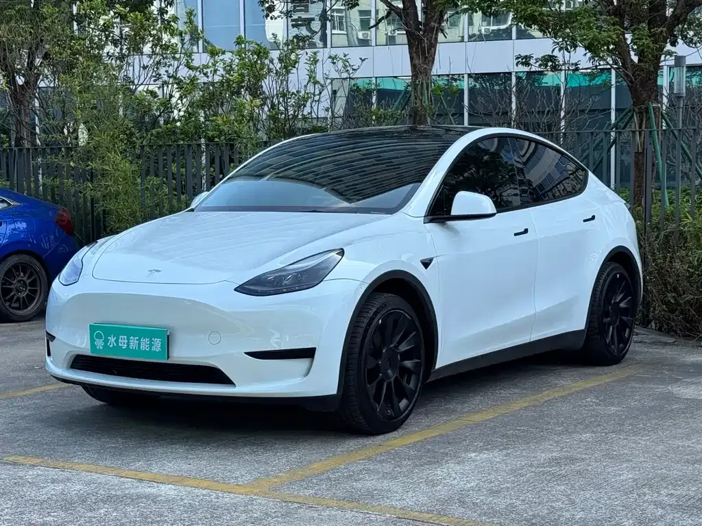 Tesla Model Y — фото 1