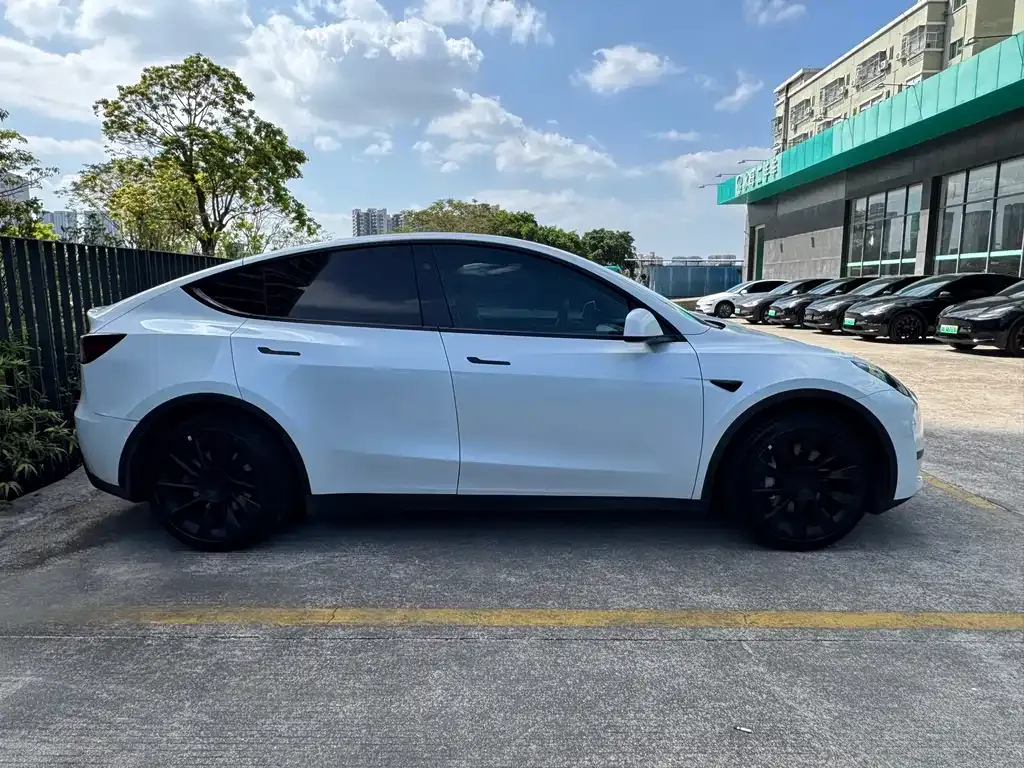 Tesla Model Y — фото 10