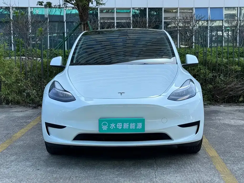 Tesla Model Y — фото 9