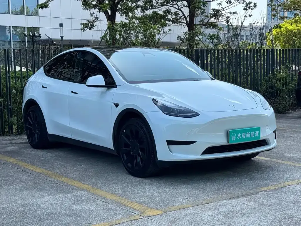 Tesla Model Y — фото 8