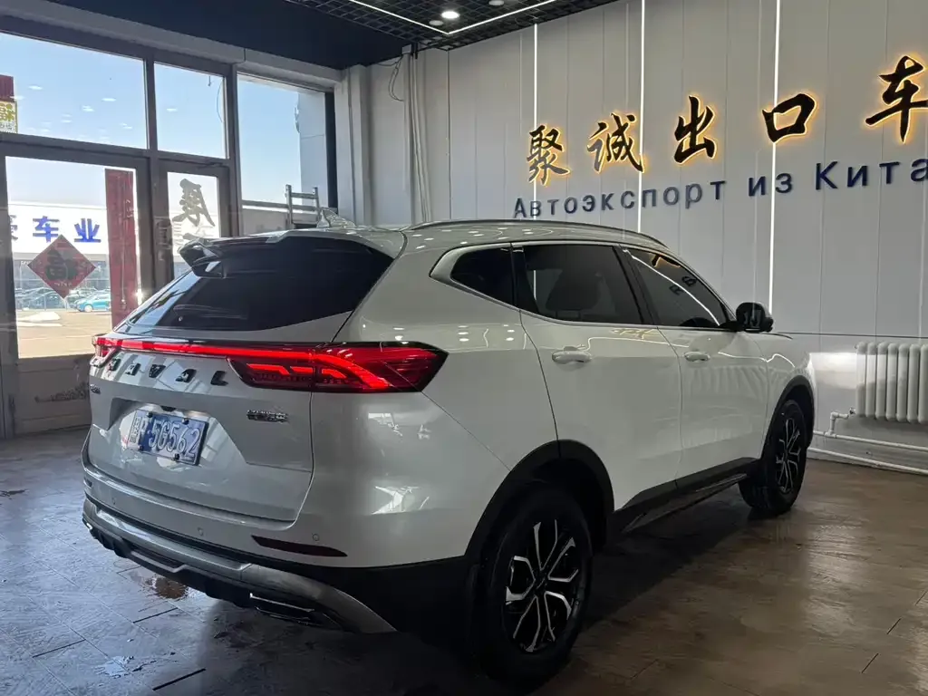 Haval H6 2023 из CN, фото 8