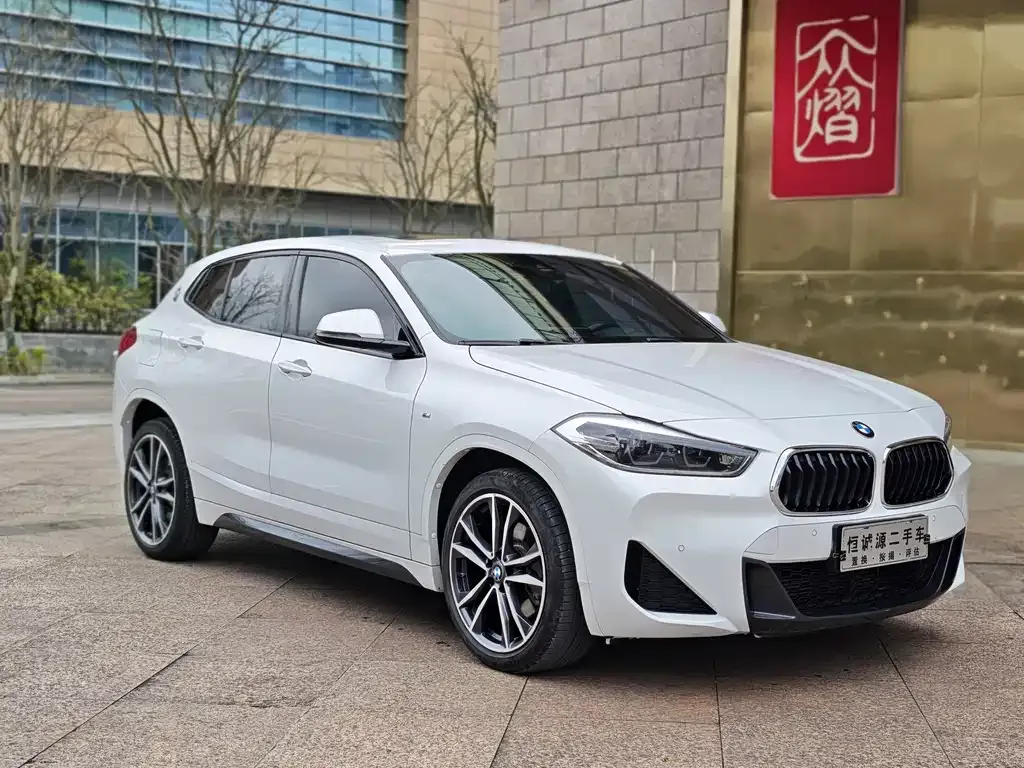 BMW X2 2021 из CN, фото 7