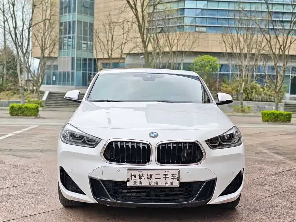 BMW X2 2021 из CN, фото 4