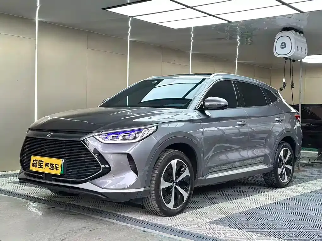 BYD PLUS New Energy — фото 1