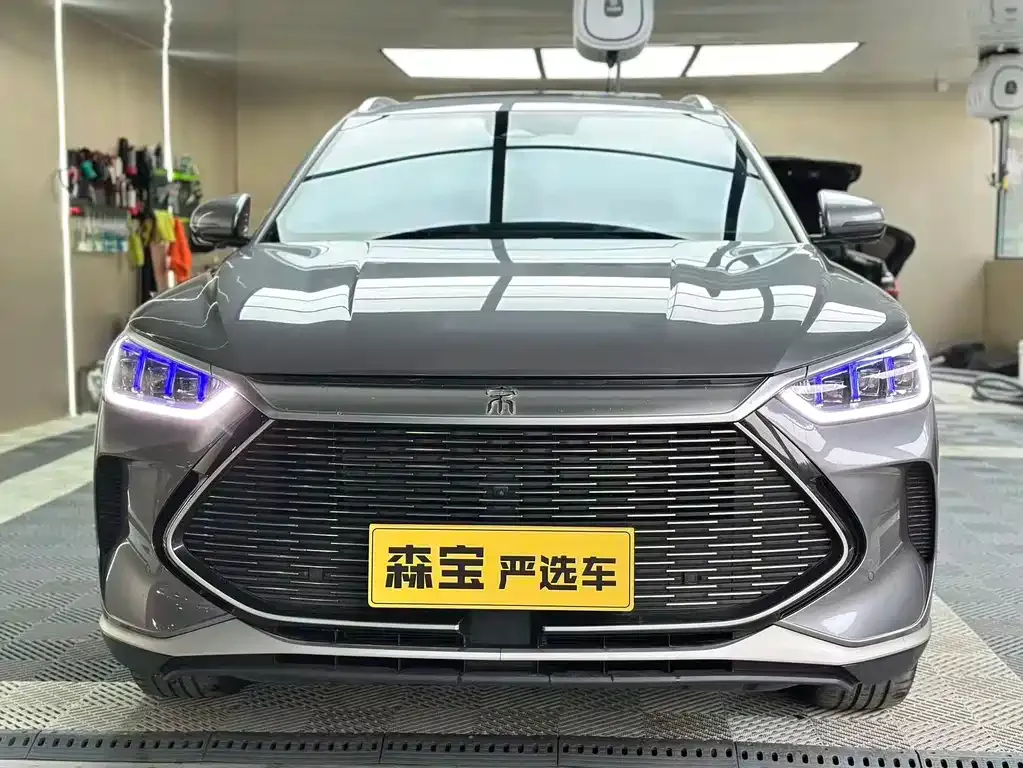 BYD PLUS New Energy — фото 2