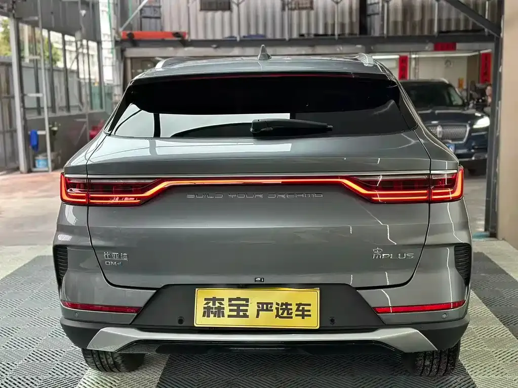 BYD PLUS New Energy — фото 9