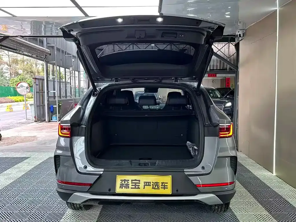 BYD PLUS New Energy — фото 4