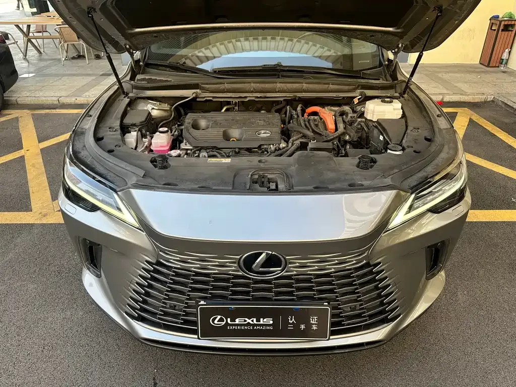 Lexus RX — фото 10