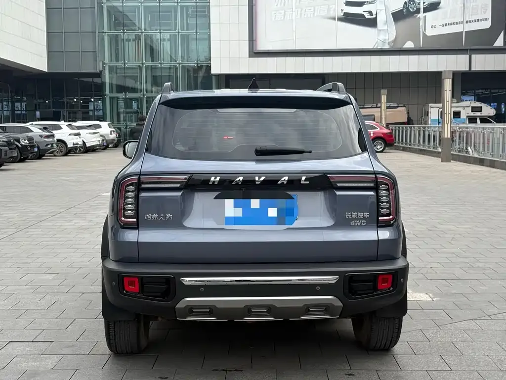 Haval Big Dog 2021 из CN, фото 2