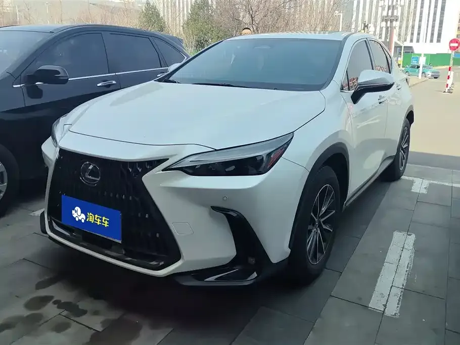 Lexus NX 2024 из CN, фото 1