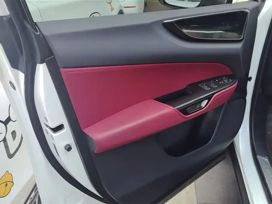 Lexus NX 2024 из CN, фото 4