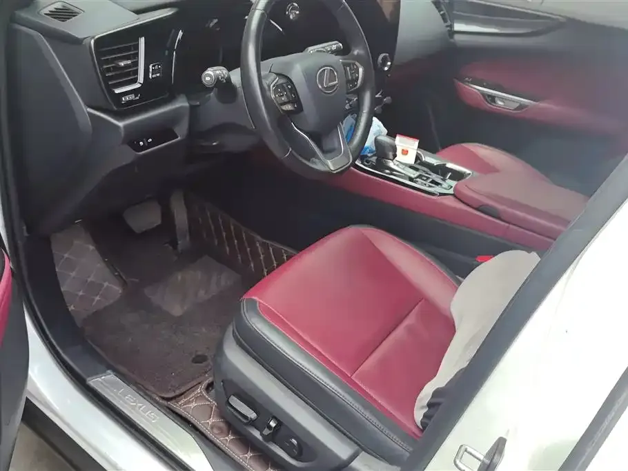 Lexus NX 2024 из CN, фото 2