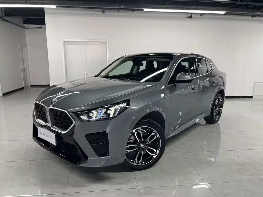 BMW X2 (Import) — фото 1