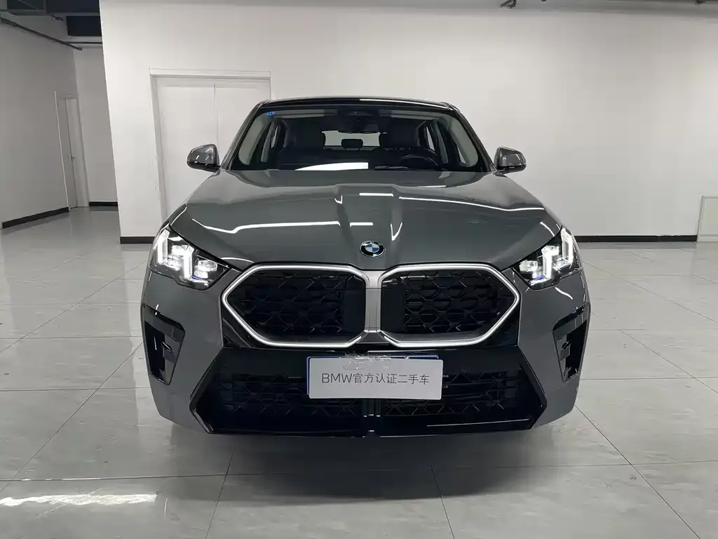 BMW X2 (Import) — фото 9