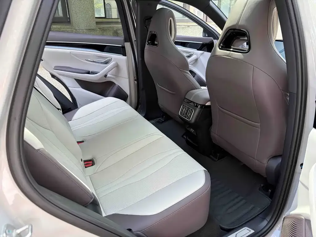 BYD PLUS New Energy 2025 из CN, фото 6