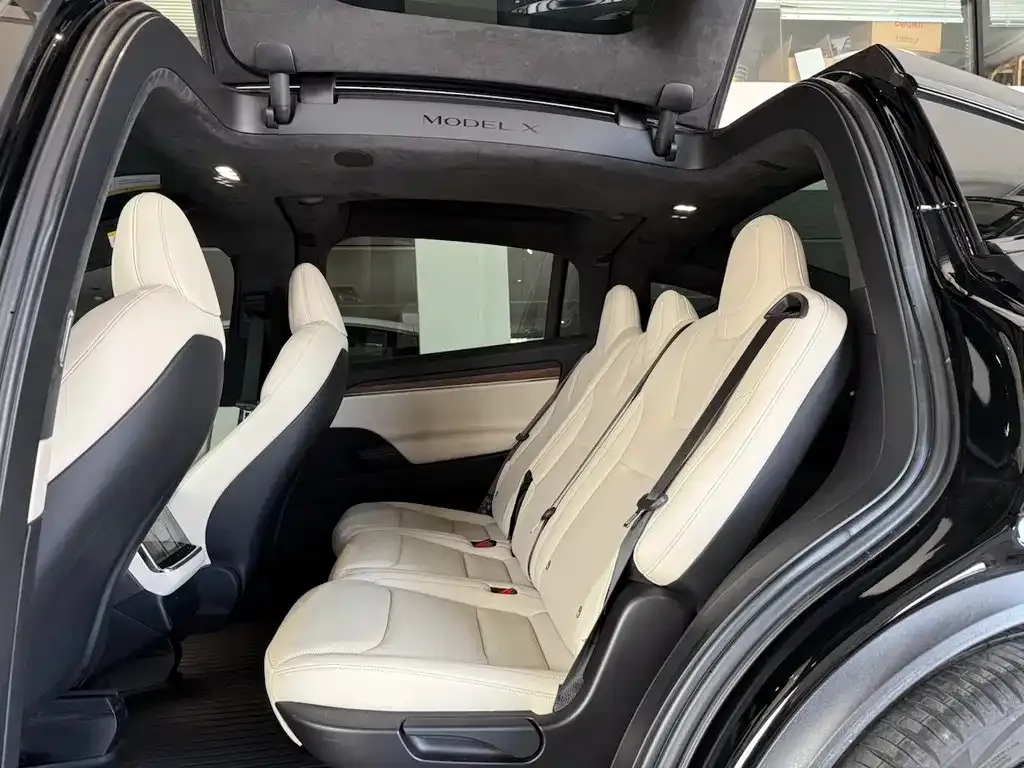 Tesla Model X 2023 из CN, фото 8
