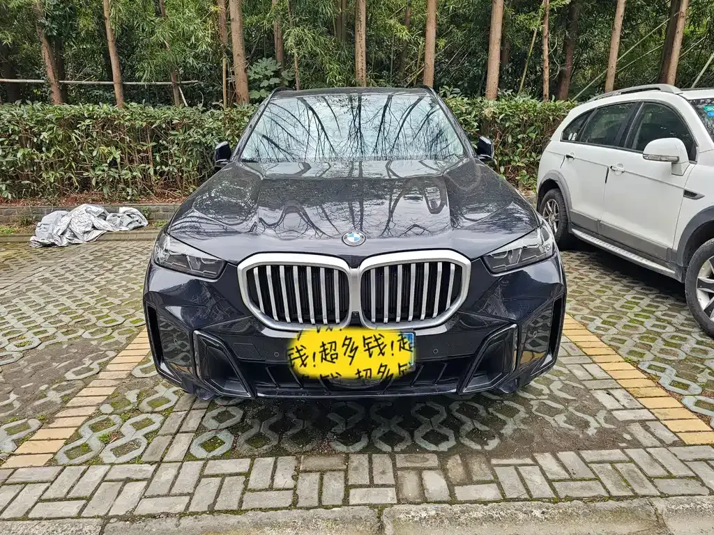 BMW X5 — фото 10