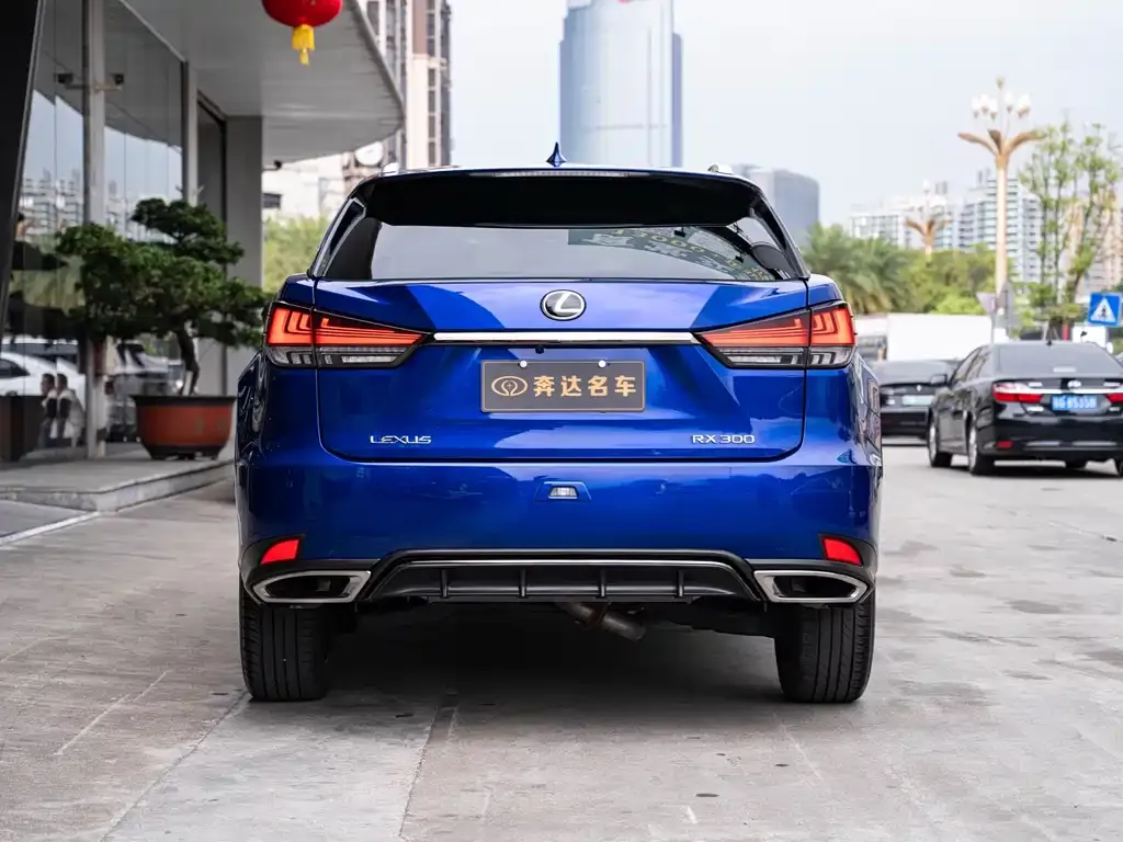 Lexus RX 2022 из CN, фото 6