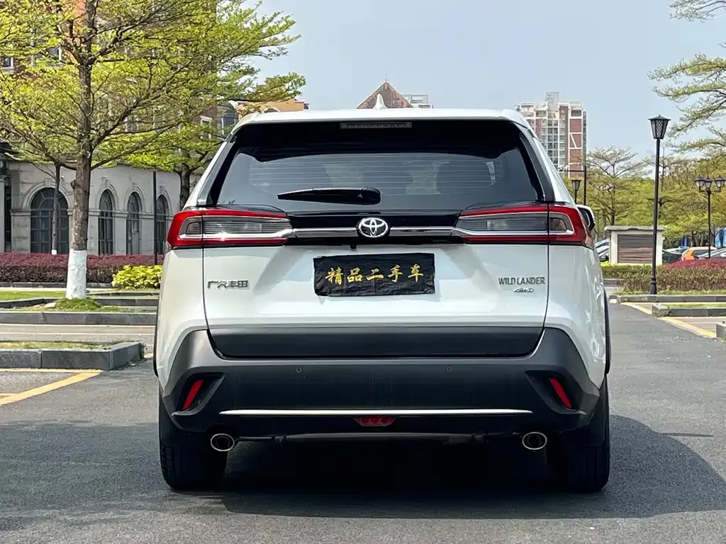 Toyota Wildlander 2023 из CN, фото 7