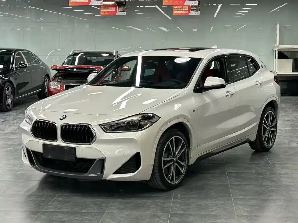 BMW X2 2021 из CN, фото 5