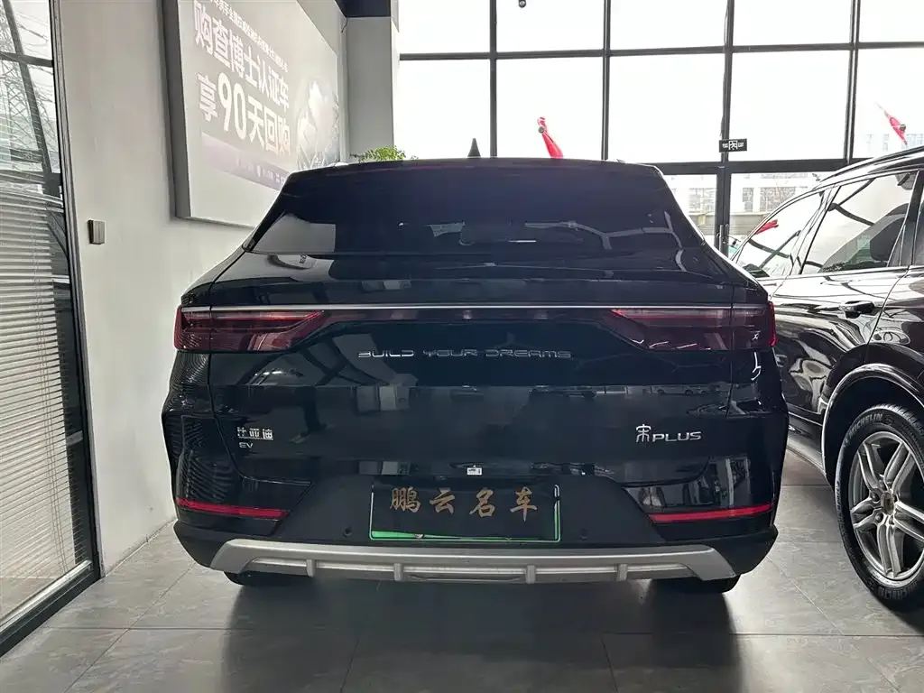 BYD PLUS New Energy — фото 3