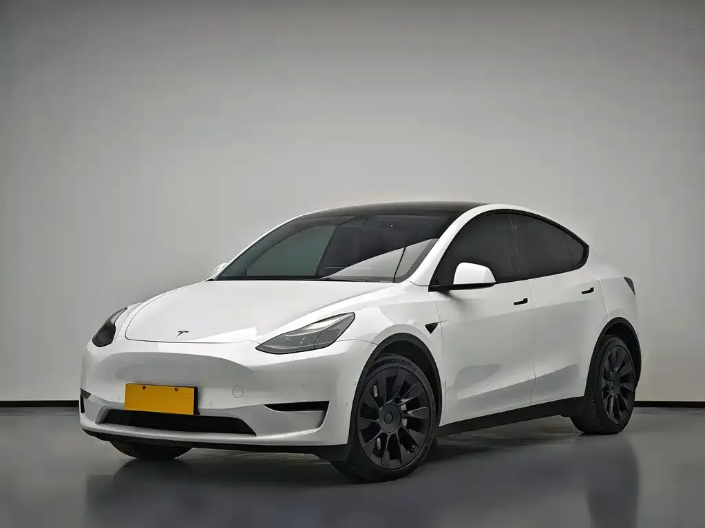 Tesla Model Y 2021 из CN, фото 1