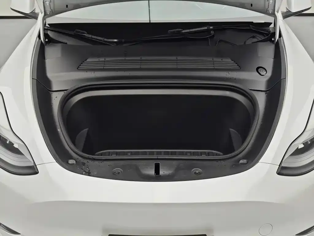 Tesla Model Y 2021 из CN, фото 3
