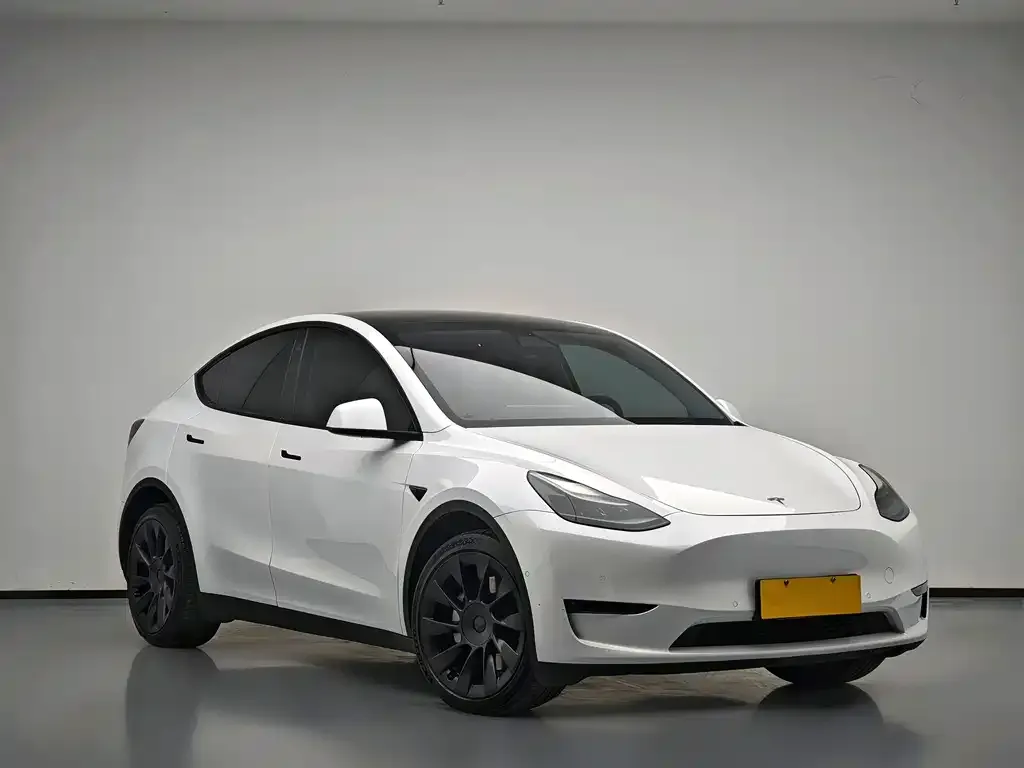 Tesla Model Y 2021 из CN, фото 5