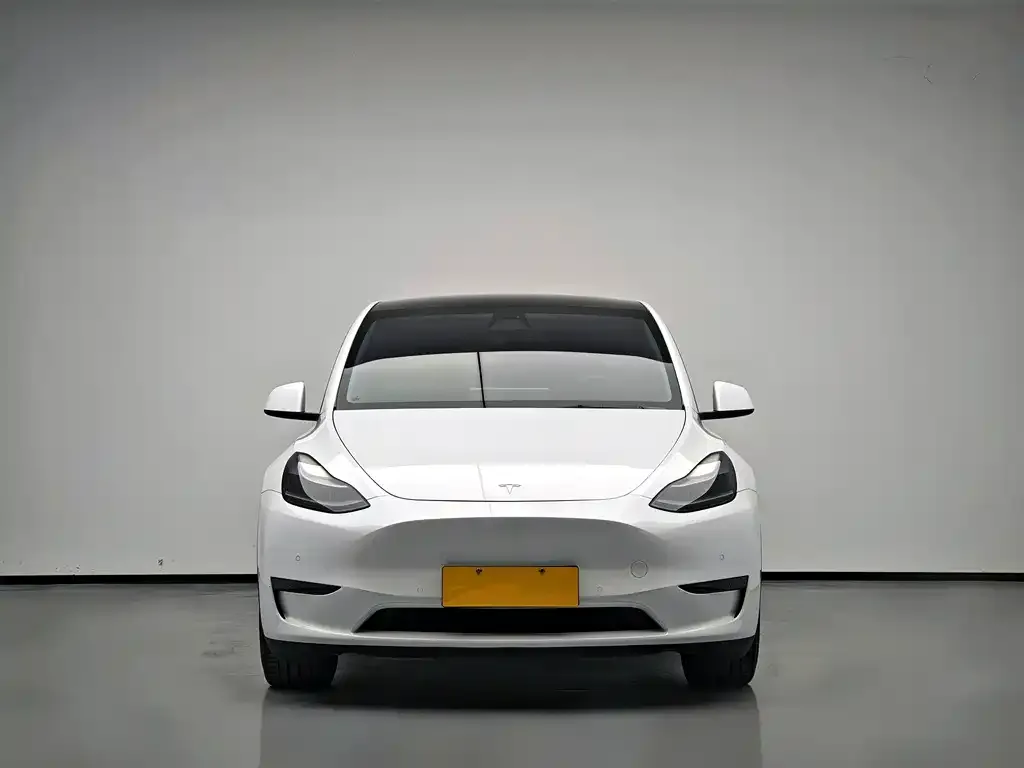 Tesla Model Y 2021 из CN, фото 6