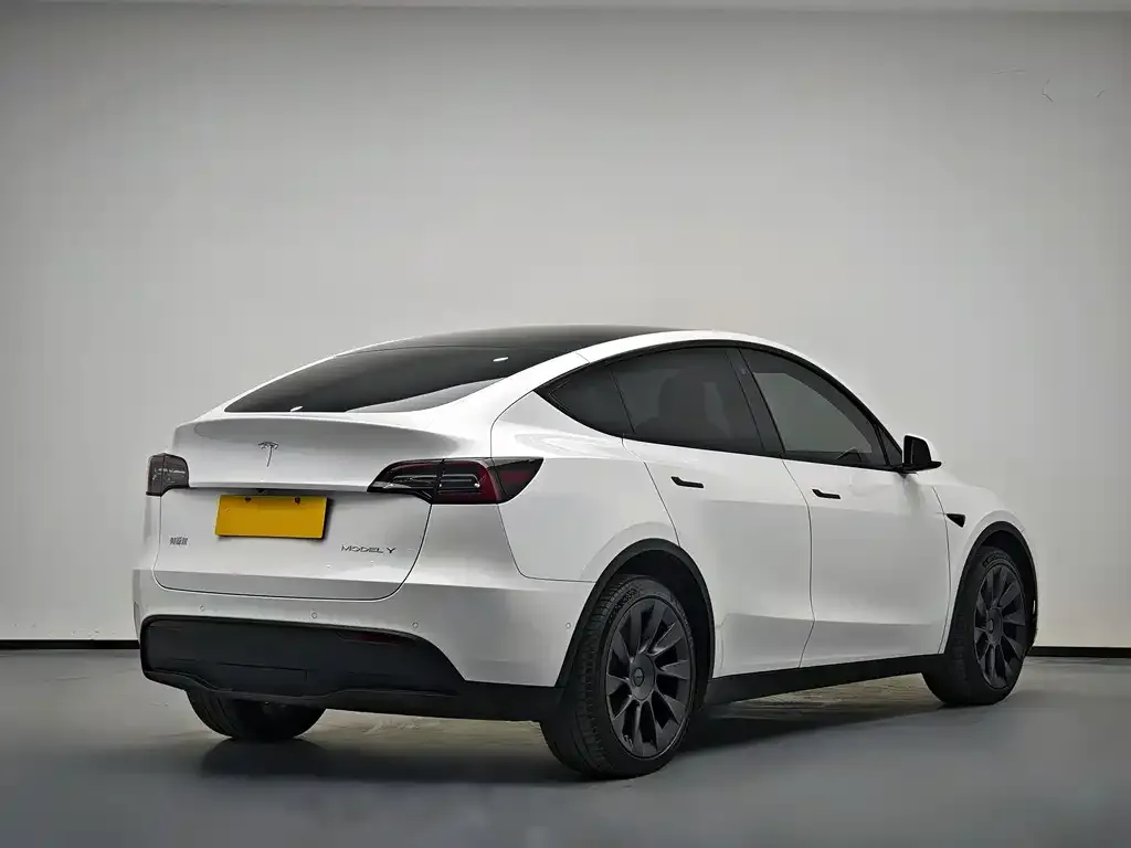 Tesla Model Y 2021 из CN, фото 9