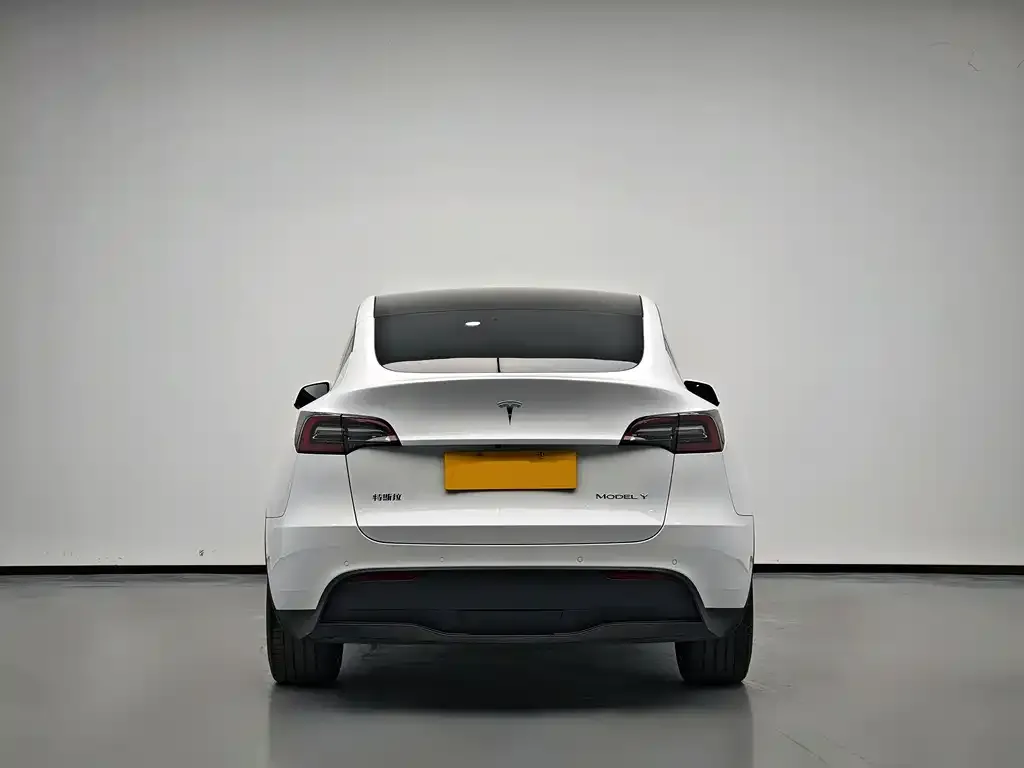 Tesla Model Y 2021 из CN, фото 10